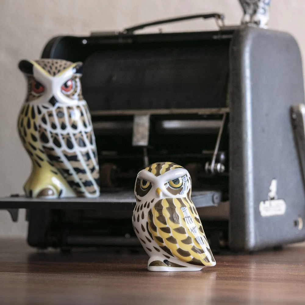 Common Owl - Image 2